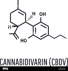CBDV skeletal